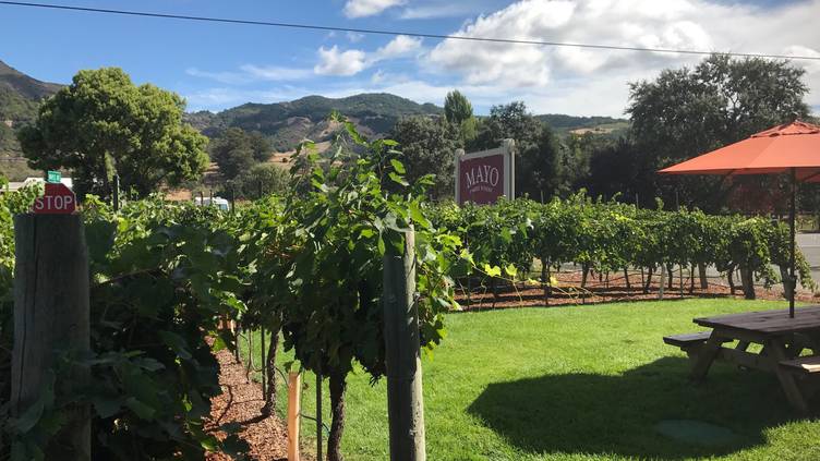 Mayo Family Winery Reserve Room - Sonoma Valley